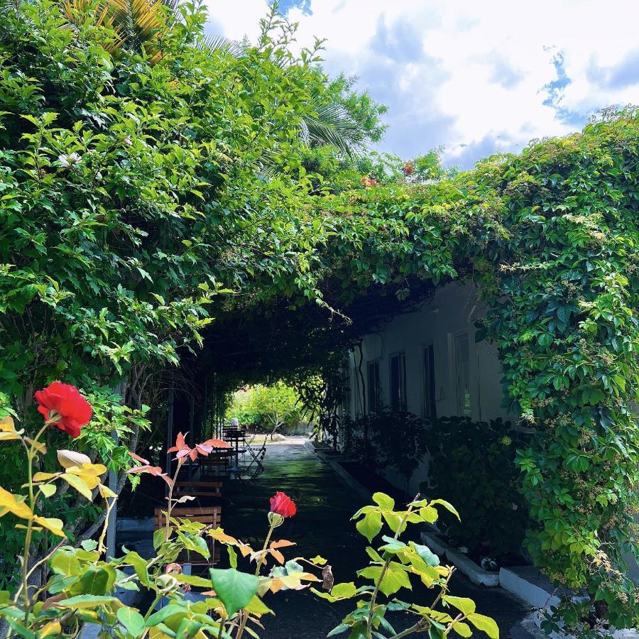 Garden Villa Naza Piqeras المظهر الخارجي الصورة
